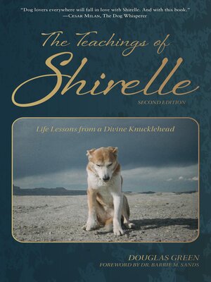 cover image of The Teachings of Shirelle